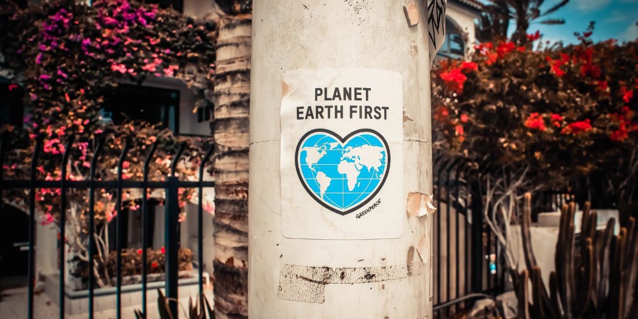 Como Celebrar el Dia del Medio Ambiente
